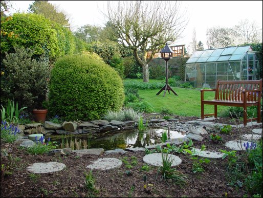 The pond in early April