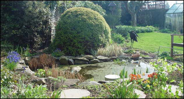 Pond at end of March