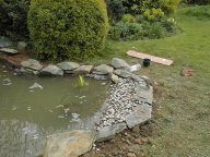 Detail of the pond beach.