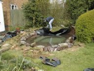 Lowering the back edge.