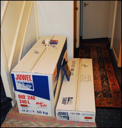 Juwel Rio 240