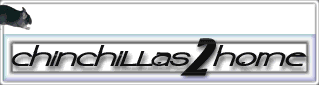 Chinchillas2Home.