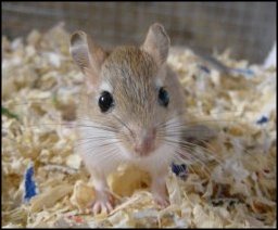 The lights are on!! - 6 week old baby.