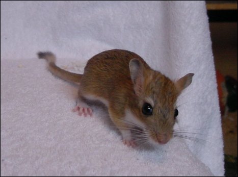 I'm really photogenic!