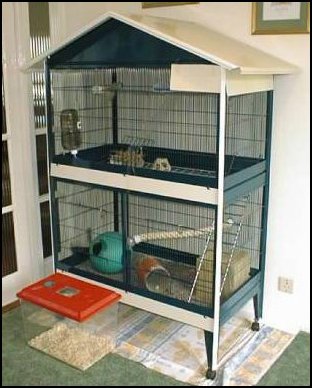 Fluff's Current Cage.