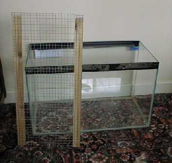 fish tank for gerbils
