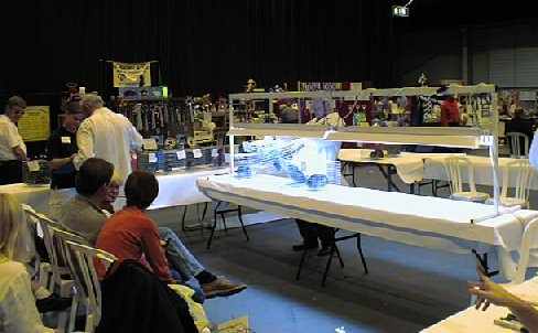 Judging the Chinchillas.