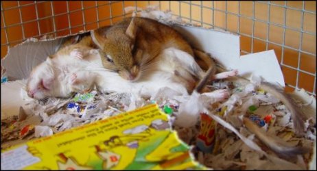 Everyone feeling tired.