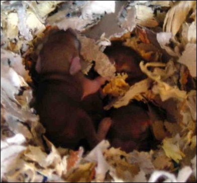 I'm gonna be getting out pretty soon.