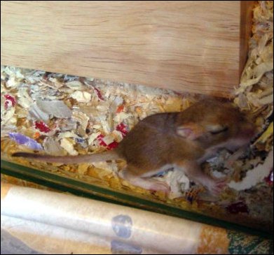 I wonder whats out here. . .