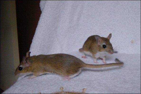 Two of us.