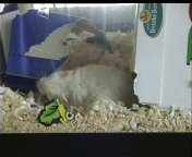Dave with Box.