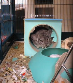 Fluffy in a tube